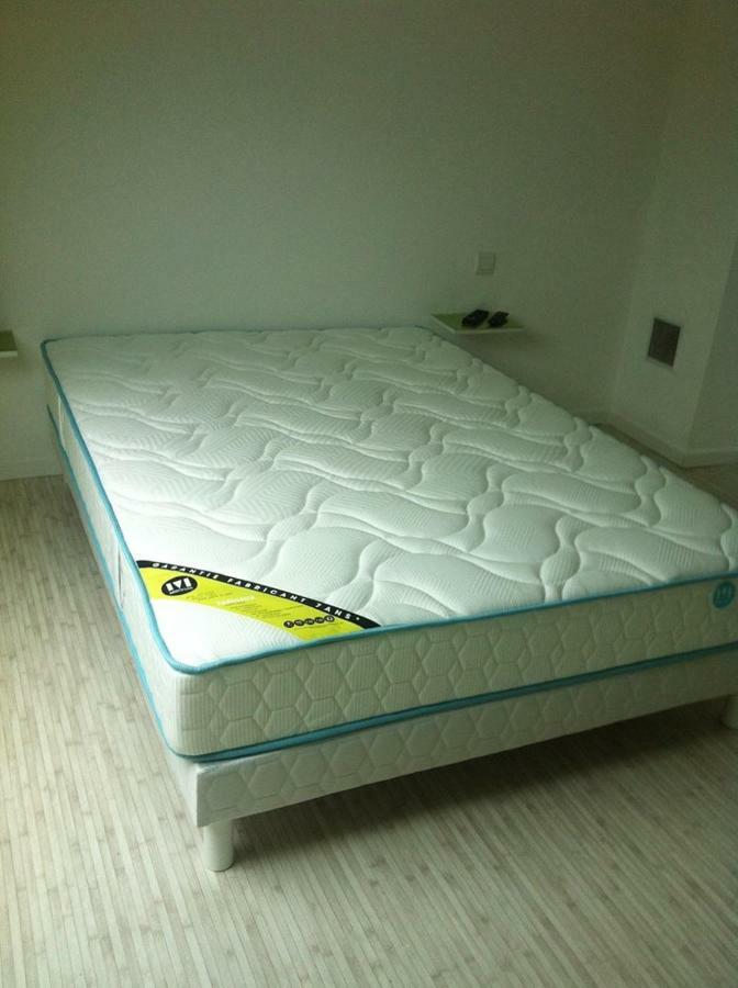 2 Chambres Doubles, 1Chambre 4 Lits Simples, Salle De Bains Avec Balneo Therapie Plaine-Haute Kültér fotó